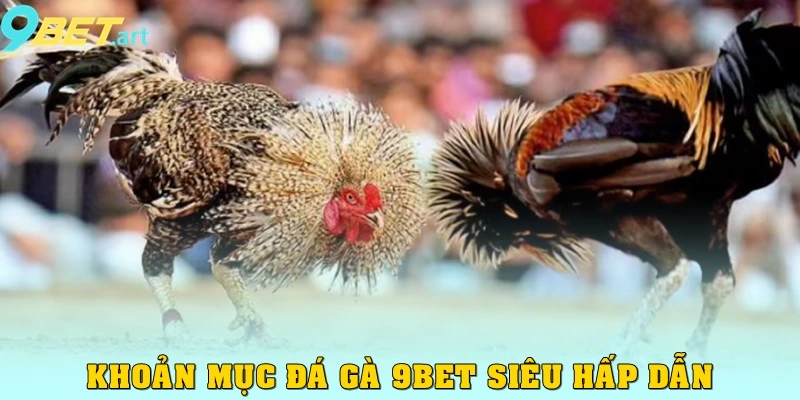 Đá Gà 9bet - Quy Tụ Các Trận Đấu Kinh Điển Khắp Mọi Nơi Khoản mục đá gà 9bet siêu hấp dẫn
