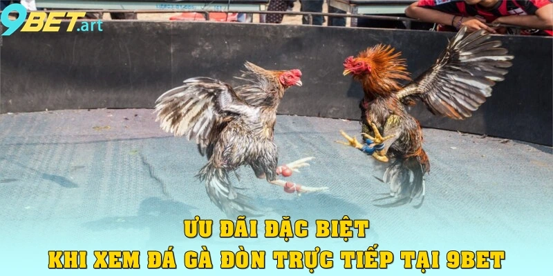 Đá Gà Đòn Trực Tiếp 9bet – Thưởng Thức Trận Đấu Đỉnh Cao Ưu đãi đặc biệt khi xem đá gà đòn trực tiếp tại 9bet